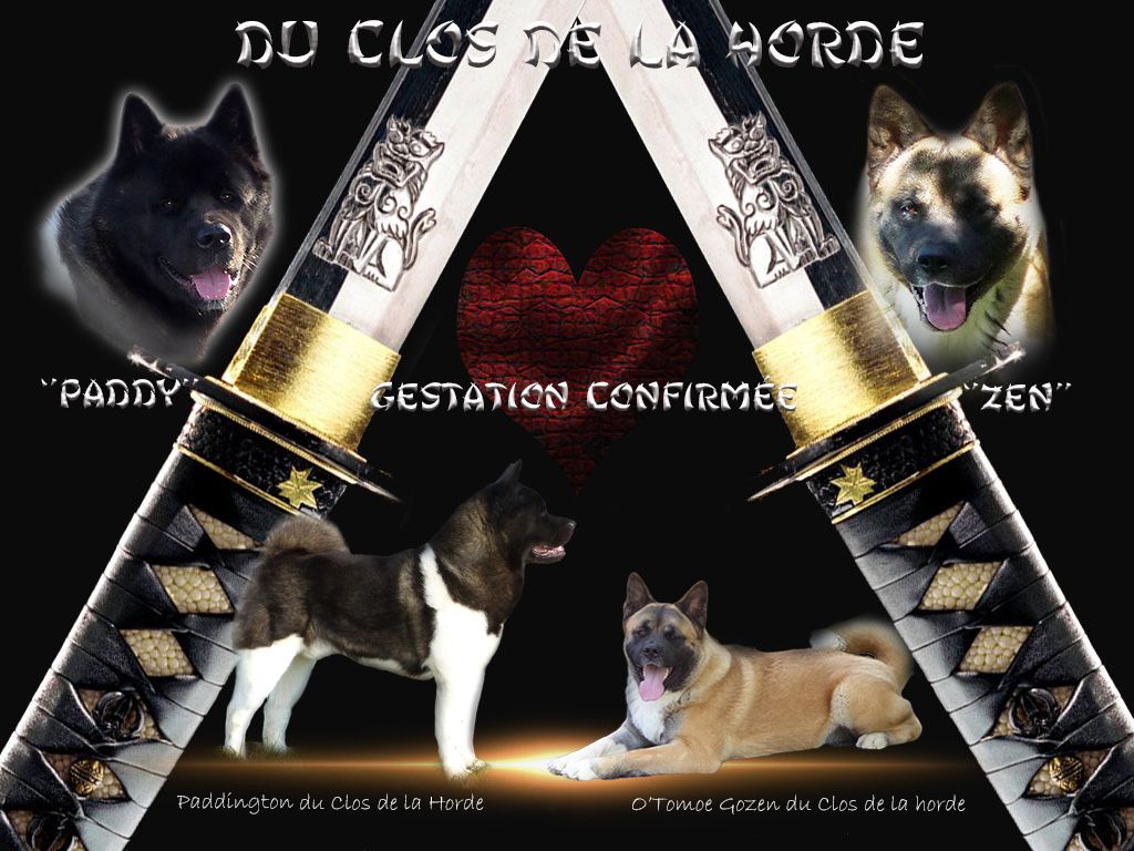 Du Clos De La Horde - 2023 / Confirmation de Gestation, Octobre 2023
