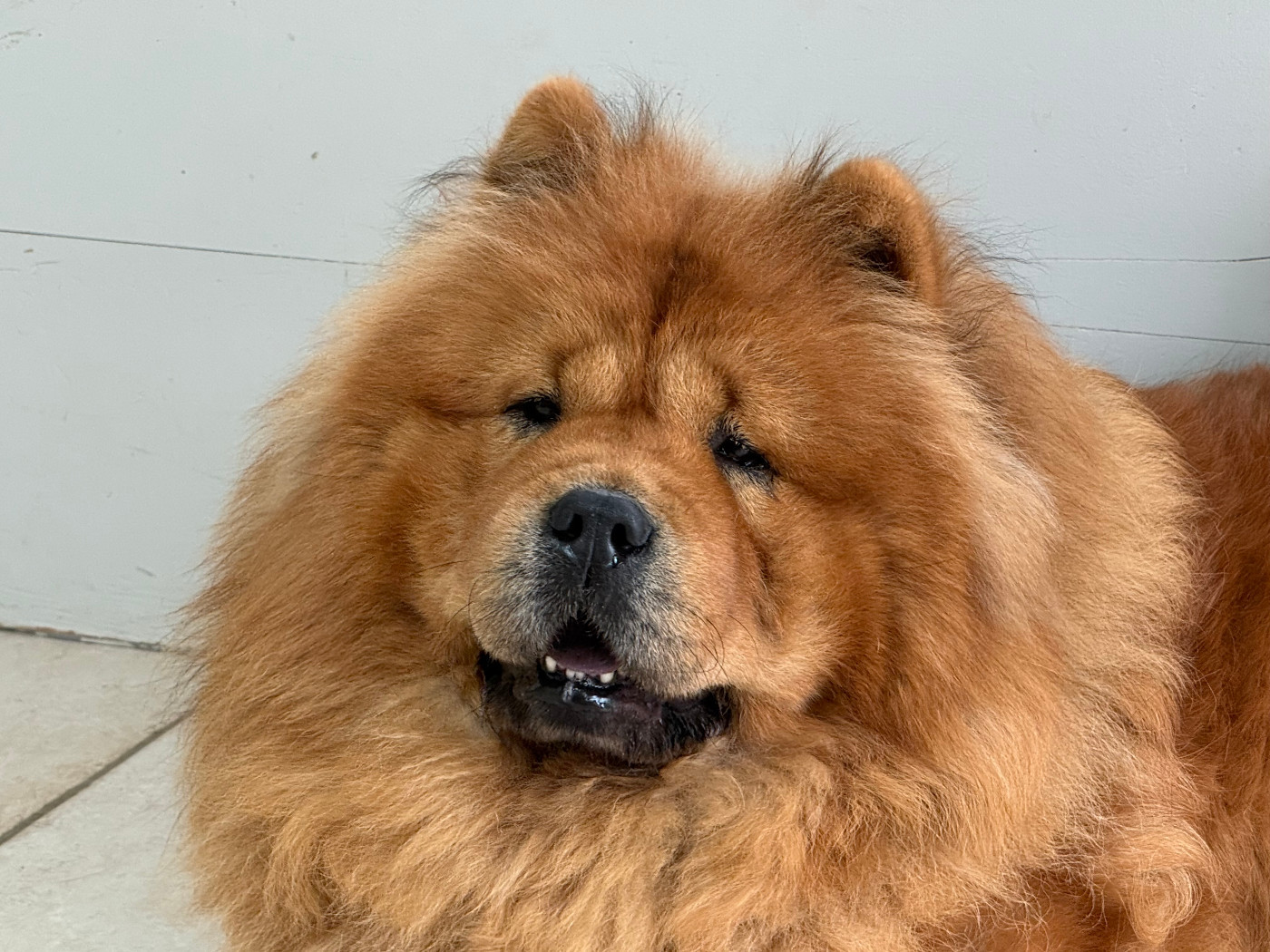 Tahiti Du Clos De La Horde