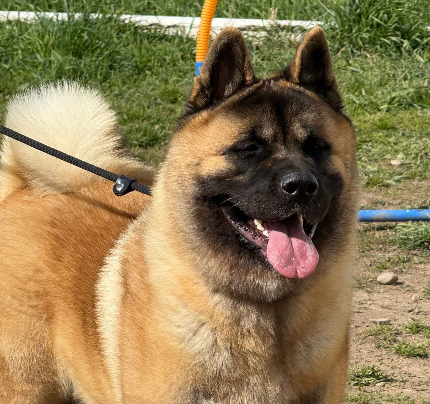 Veldra Du Clos De La Horde