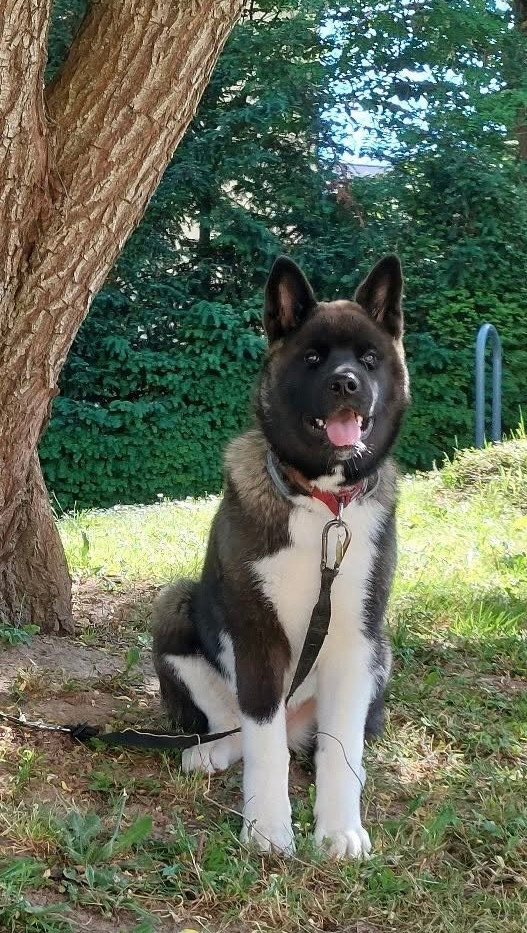 Annabelle Du Clos De La Horde