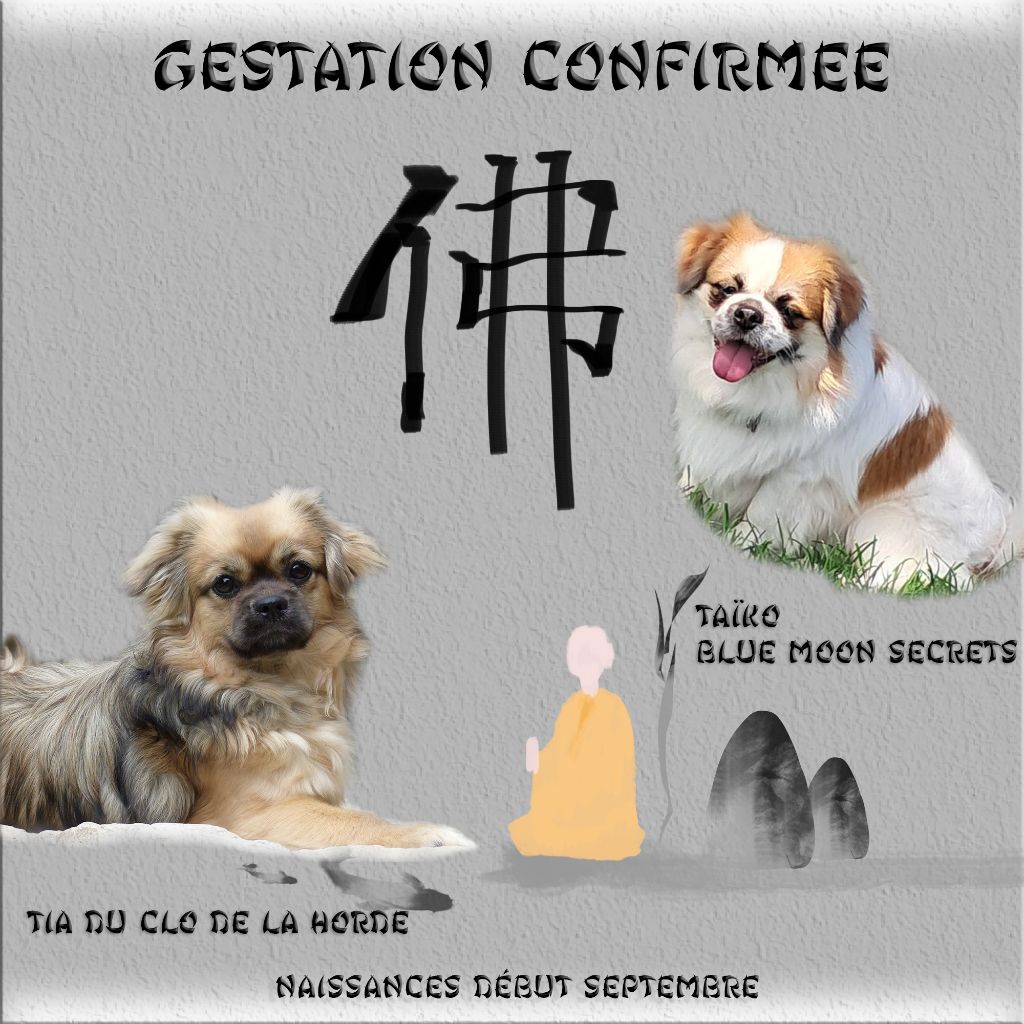 2025 GESTATION CONFIRMEE