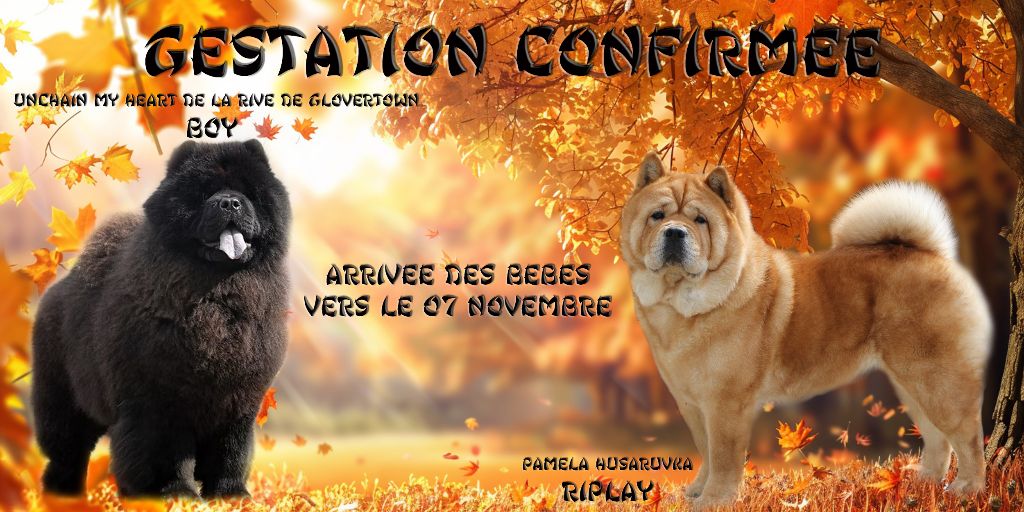 2025 GESTATION CONFIRMEE