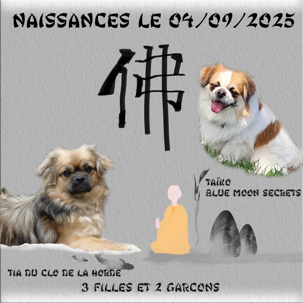 2025 LES BEBES DE TIA SONT ARRIVES