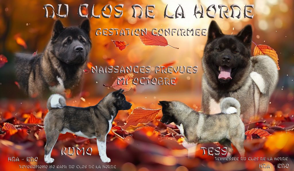 2025 GESTATION CONFIRMEE