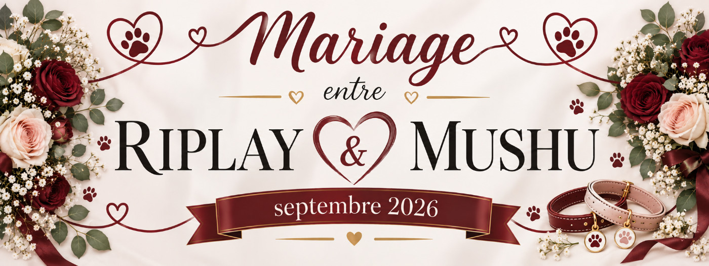 2026 Mariage à venir, RIPLAY