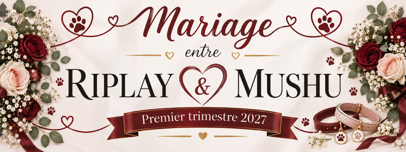 Premier trimestre 2027 / Mariage RIPLAY & MUSHU
